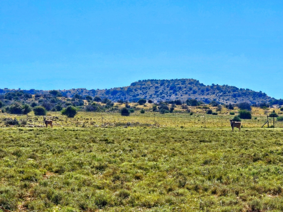 4 Bedroom Property for Sale in Bloemfontein Rural Free State